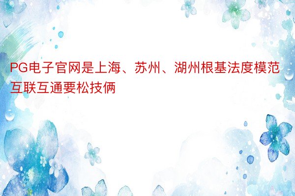 PG电子官网是上海、苏州、湖州根基法度模范互联互通要松技俩