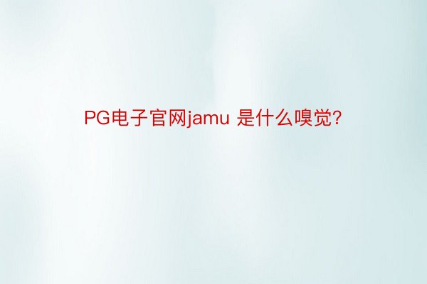 PG电子官网jamu 是什么嗅觉？